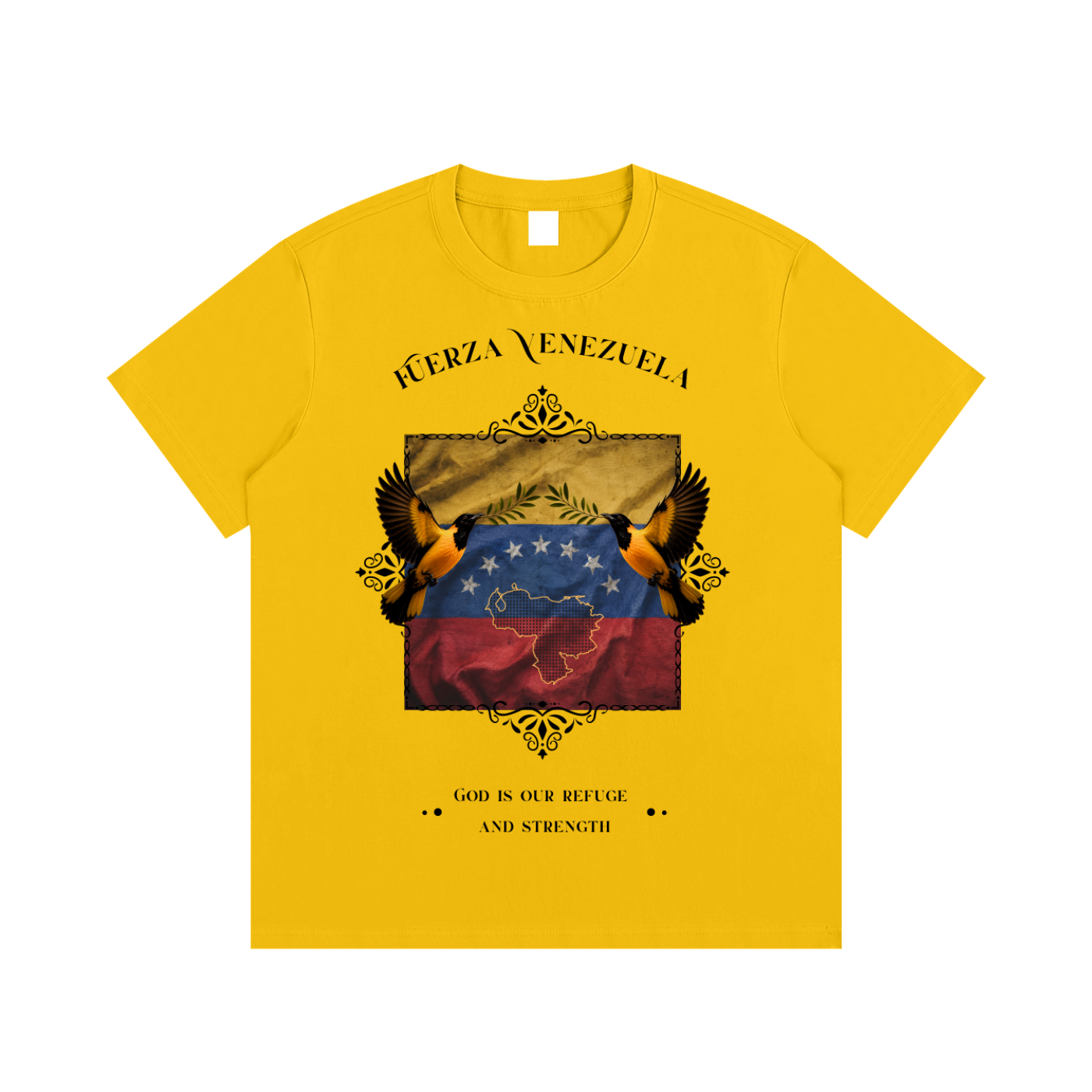 venezuela,god